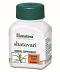 3 Bottles X 60 Capsules Himalaya Shatavari Female Tonic For Womens Wellness