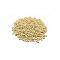Aara Udad Gota (Matpe Beans) - 2 lb Aara Udad Gota (Matpe Beans) - 2 lb