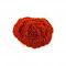Aara Red Mirchi / Chili Powder Kashmiri - 5 lbs Bulk Pack