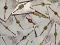 Antique Assorted Rakhi W/ Handpicked Materials  + Roli & Chaval 