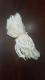 Long Cotton Batti (Wicks) for Diya (pack of 100 =1 quantity) Long Cotton Batti (Wicks) for Diya (pack of 100 =1 quantity)