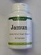 Sandhu's Jamun 60 capsules Sandhu's Jamun 60 capsules