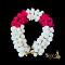 White and Pink Flower Veni White and Pink Flower Veni