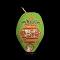 Decorated Coconut for South Indian Wedding