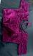 Chikankari Embroidery Readymade Saree Blouse(Magenta Purple)