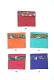 Flap Kalamakari Mini Purse