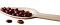 Eco-Friendly Disposable Spoons (Pack of 50 Pcs)