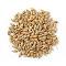 Classic Barley (Jav) Whole 4 oz (100g) ~ All Natural | Vegan | NON-GMO | Indian Origin Classic Barley (Jav) Whole 4 oz (100g) ~ All Natural | Vegan | NON-GMO | Indian Origin