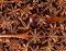 Anise Star 100 gms Anise Star 100 gms