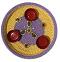 10.5" Purple Puja Thali Embellished w/ Hand Decoration 10.5" Purple Puja Thali Embellished w/ Hand Decoration
