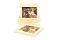 Wood Gemstone Coaster Set Lady With Deer