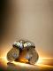 Light Brown Comfy Indian Sandals Light Brown Comfy Indian Sandals