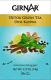 Girnar Green Tea, Desi Kahwa, 36 Tea Bags (Pack of 4)
