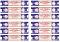 Nag Champa 12 Pack Incense Sticks / Agarbatti - 15g Each