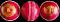 SNICK cricket leather balls HAND STICHED (50-60 overs) - PREMIUM RED SNICK cricket leather balls HAND STICHED (50-60 overs) - PREMIUM RED