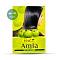Hesh - Amla Powder