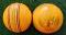 SNICK Indoor Cricket Balls Soft Leather PREMIUM SPL - Box of 6 SNICK Indoor Cricket Balls Soft Leather PREMIUM SPL - Box of 6