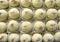 Sandesh Illaychi, 1 Pound Sandesh Illaychi, 1 Pound