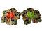 Bal Gopal/Laddu Gopal/Thakurji Poshak/Vastra for 3 to 5 Inches Idols # 18 Bal Gopal/Laddu Gopal/Thakurji Poshak/Vastra for 3 to 5 Inches Idols # 18