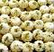 Peda: Pista, 1 Pound