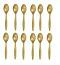 100 Pcs Pack Disposable Gold Spoons for Indian Food 100 Pcs Pack Disposable Gold Spoons for Indian Food