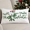 SOGA 2X 17.7 inches Embroidered Decorative Christmas pillow covers –  White