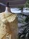 Pastel Yellow Organza Saree with Elegant Leaf Motifs - Includes Fully Stitc Pastel Yellow Organza Saree with Elegant Leaf Motifs - Includes Fully Stitc