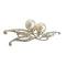 Silver Casting Clear Simulated Diamonds Ivory Faux Pearl Brooch Silver Casting Clear Simulated Diamonds Ivory Faux Pearl Brooch