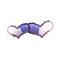 Sapphire Ametheyst Heart Crystals Heart Bridesmaid Hair Barrette