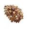 Smoked Topaz Golden Shadow Crystals Brooch Smoked Topaz Golden Shadow Crystals Brooch
