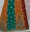 Multi Color Embellished Ghagra Lehenga Chaniya