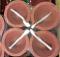 Small Traditional Clay Diya w/ Wick - 24 Pcs