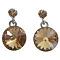 Beautiful Gift Someone Special Brown Crystal Earrings Beautiful Gift Someone Special Brown Crystal Earrings