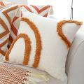 SOGA 2X 45cm Organic Curve Accent Decorative Pillowcases