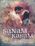 Sanam Teri Kasam Hindi DVD Sanam Teri Kasam Hindi DVD