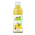 Lime Jhatkaa Drink 250ML