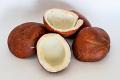 Half Dry Coconut Each Half Dry Coconut Each