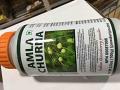 Amla Churna 100 gms