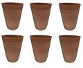 6 Pcs Natural Earthen Mitti Clay Kullad Cup (GLASS)