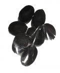 Kamal Gatta / Lotus Seeds (7 Pieces)