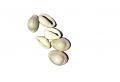 Small Pooja Shell / Kodi (5 Pieces) 