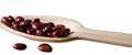 Eco-Friendly Disposable Spoons (Pack of 50 Pcs)