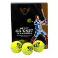SNICK HEAVY TENNIS CRICKET BALLS - 148gms-150gms - pack of 12