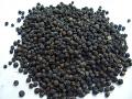 Swad Whole Black Pepper 3.5 Oz Swad Whole Black Pepper 3.5 Oz