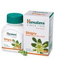 Himalaya Shigru Tablets 60 tab Himalaya Shigru Tablets 60 tab