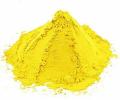 Holi Color Yellow