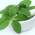 Tulsi Leaves 100 g Tulsi Leaves 100 g