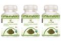 Organic Karela (Bitter Melon) Powder - 100g / 3.5oz (Pack of 3) 