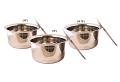 Stainless Steel Large Patila / Topia Indian Pot w/ Lid's Set of 3 Sizes