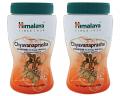 2 x 500g Himalaya Chyavanprash Super Food for Energy, Well Being & Immunity Support